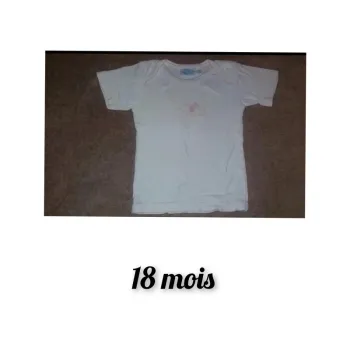 Tee-shirt 🔄