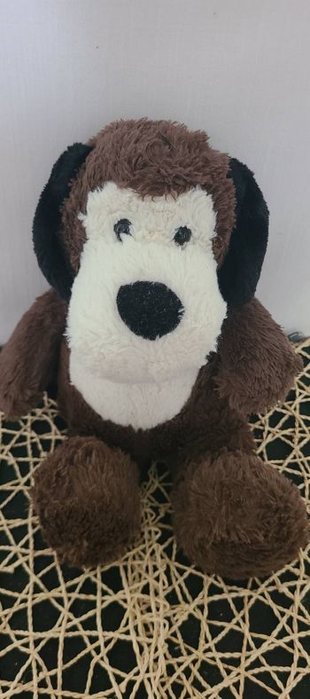 Chien blanc marron aux oreilles noires