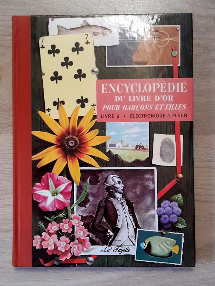 Encyclopédie du livre d'or pour garçons et filles tome 6 électronique à fleurs