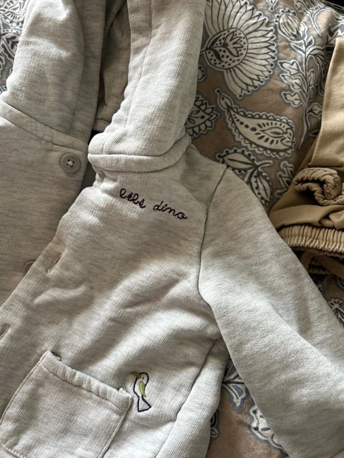 Gilet 🦖 dinosaure - photo numéro 2