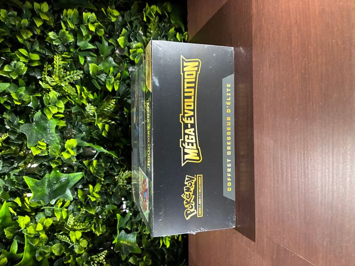 🌟 Coffret dresseur d'élite méga-évolution - lucario - photo numéro 5