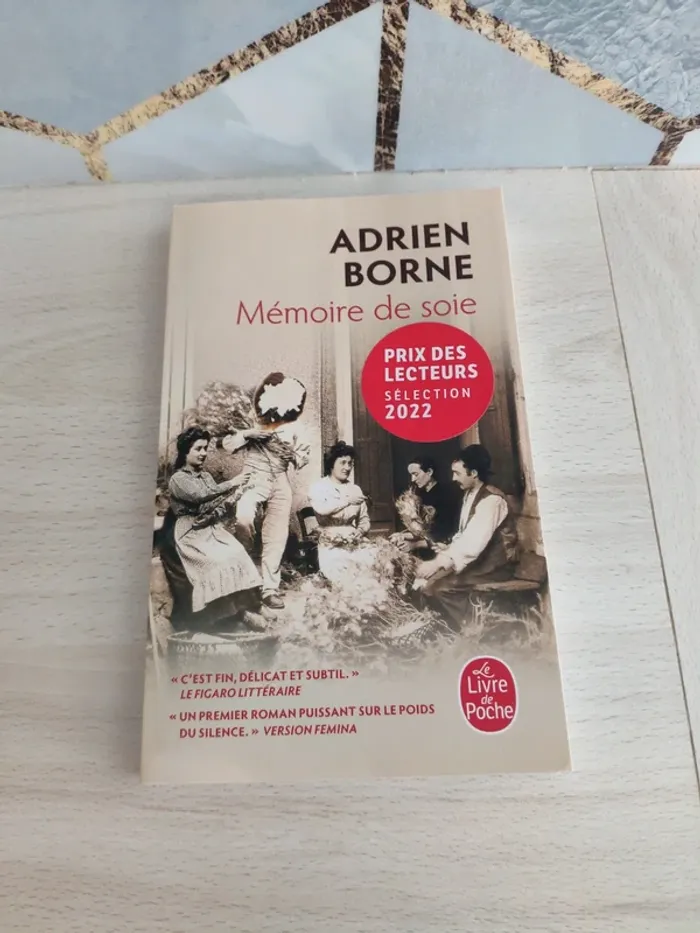 Livre poche mémoire de soie Borne