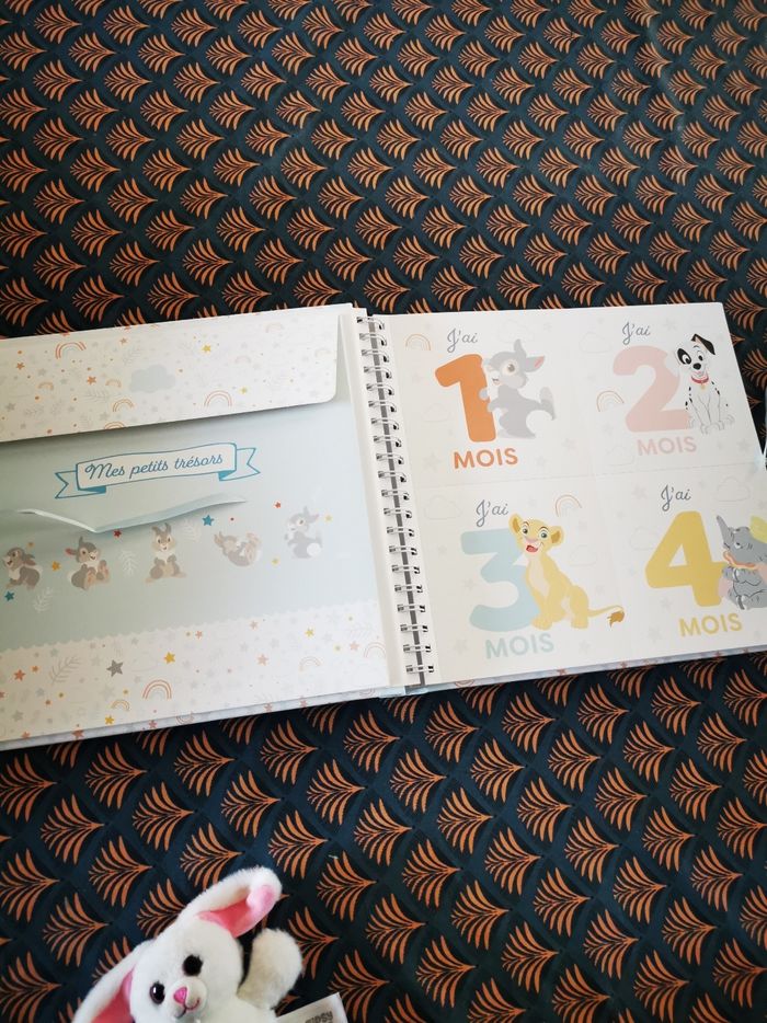 Livre naissance Disney - photo numéro 2