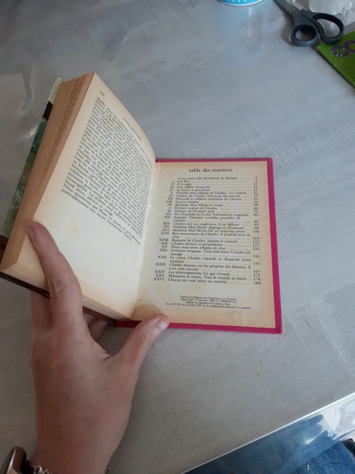 Un bon petit diable - photo numéro 9