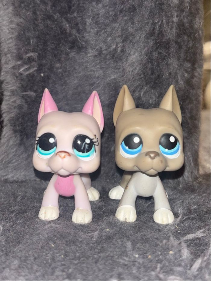 lot danois #1022 & #184