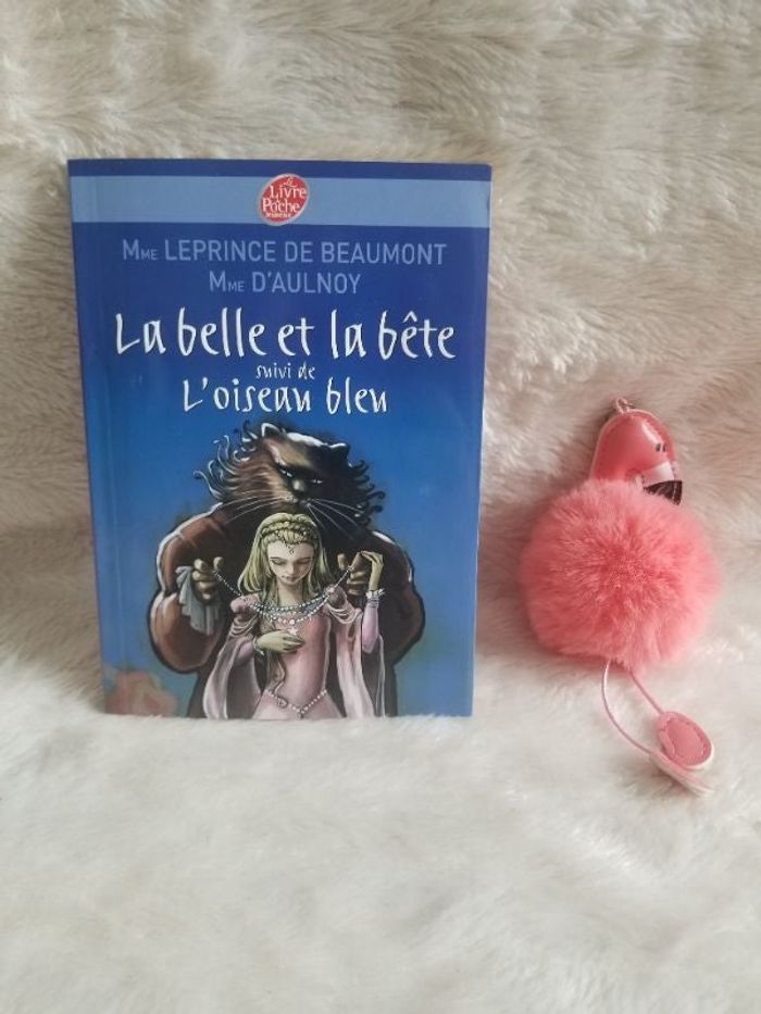 Livre la belle et la bête