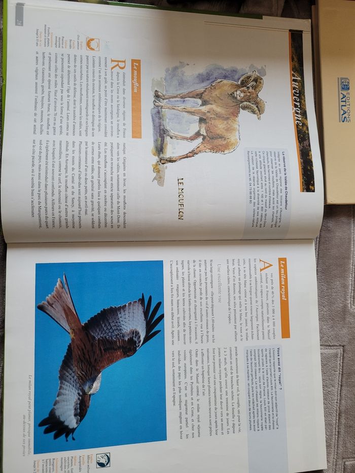 Livre - photo numéro 2