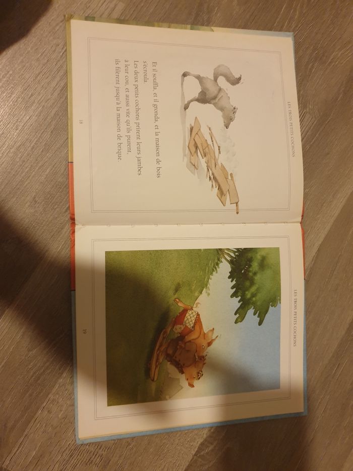 Les trois petits cochon - photo numéro 3