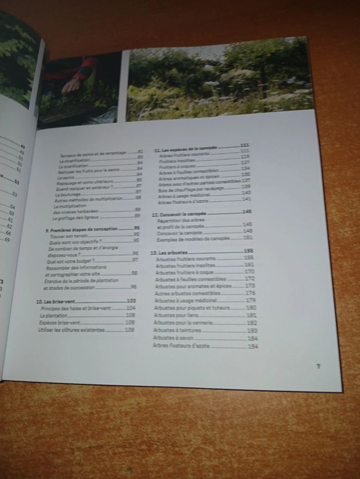 La forêt jardin - photo numéro 7