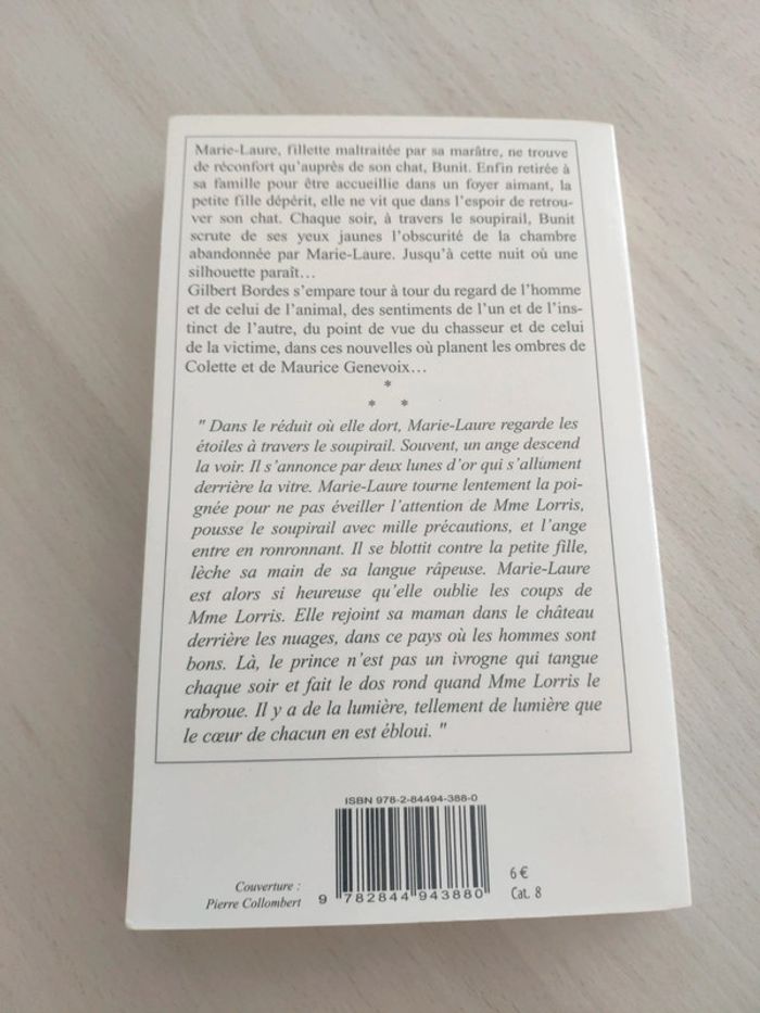 Livre poche le chat derrière la vitre Gilbert Bordes - photo numéro 6