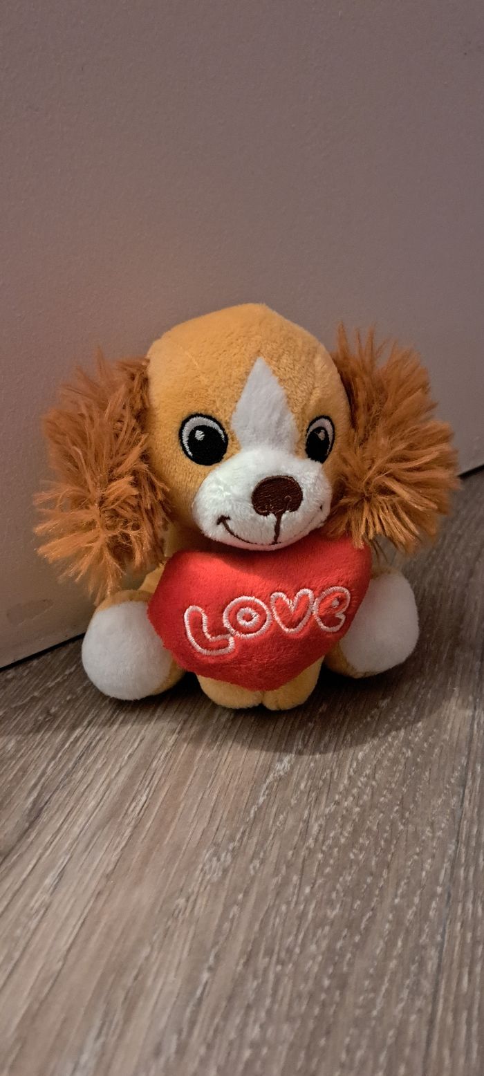 Petit chien - photo numéro 2