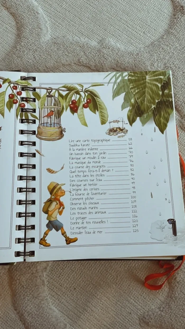 Le Boys’ Book des petits aventuriers - Éditions Larousse - photo numéro 4