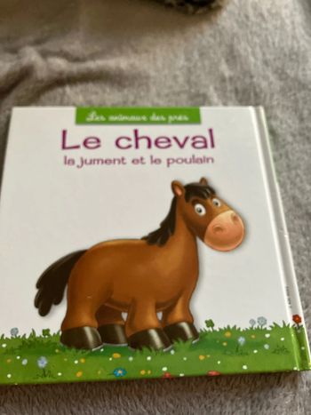 Livre cheval