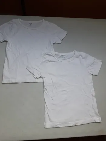 Lot de 2 tshirts