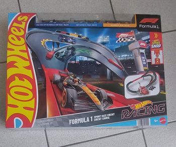 Circuit hotwheels formule 1