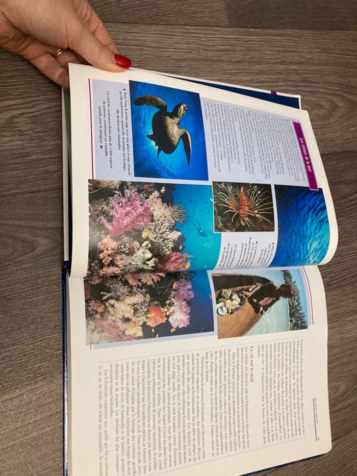 Dans les Îles du pacifique - photo numéro 10