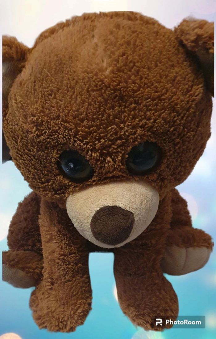Ours brun