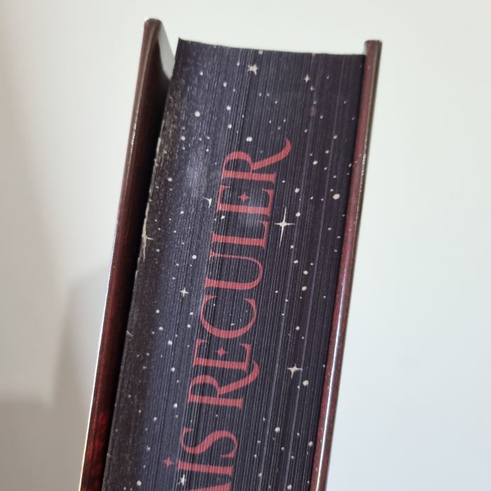 Lot Nevernight collector indissociable - photo numéro 3