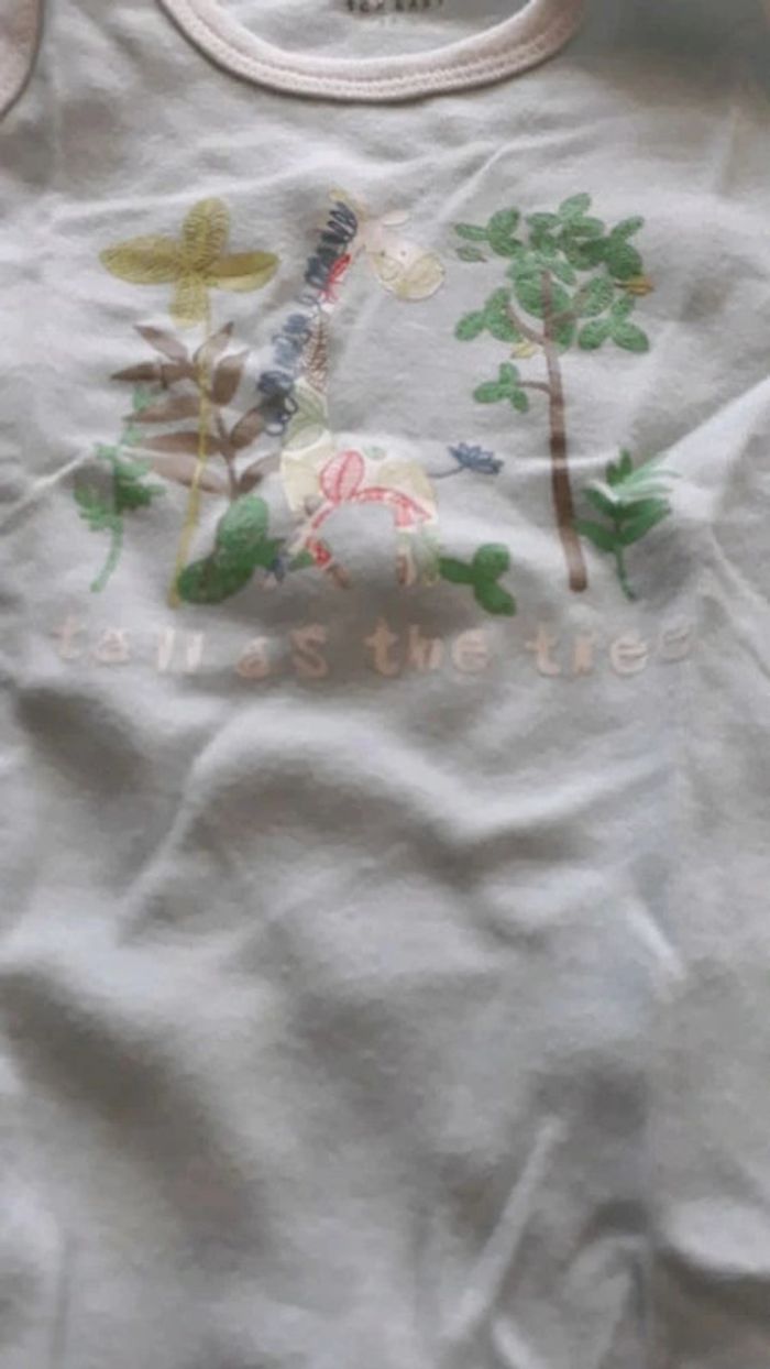 Bodys - photo numéro 2