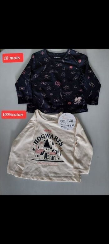 Lot de 2 t-shirts manches longues fille 18mois