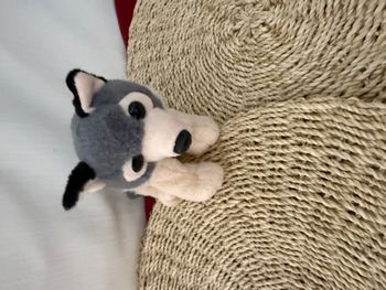 Peluche loup JUNGLE AVENUE gris beige