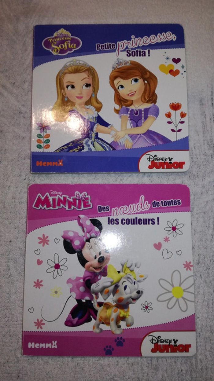 Lot de 2 livres Disney Junior