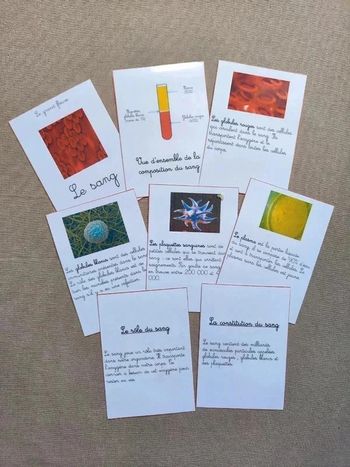 Cartes de nomenclature sur le sang