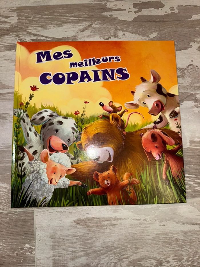 Livre mes meilleurs copains