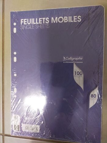 Feuillets mobiles 100 pages grands carreaux