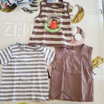 Lot de 3 tee-shirt garçon 12 mois