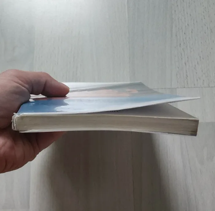 Livre - photo numéro 5