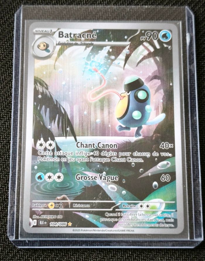 Pokémon batracné 104