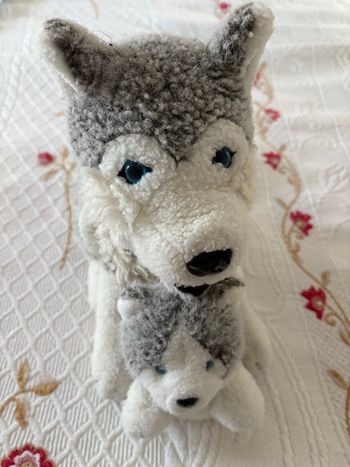 Peluches chiens husky