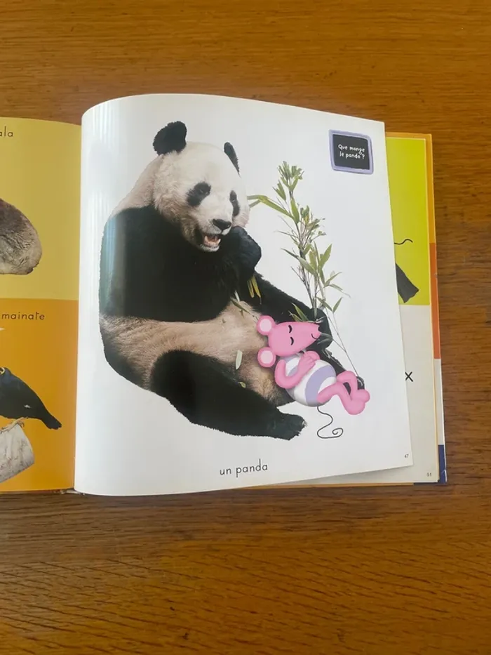 L’imagerie photos des animaux - photo numéro 4