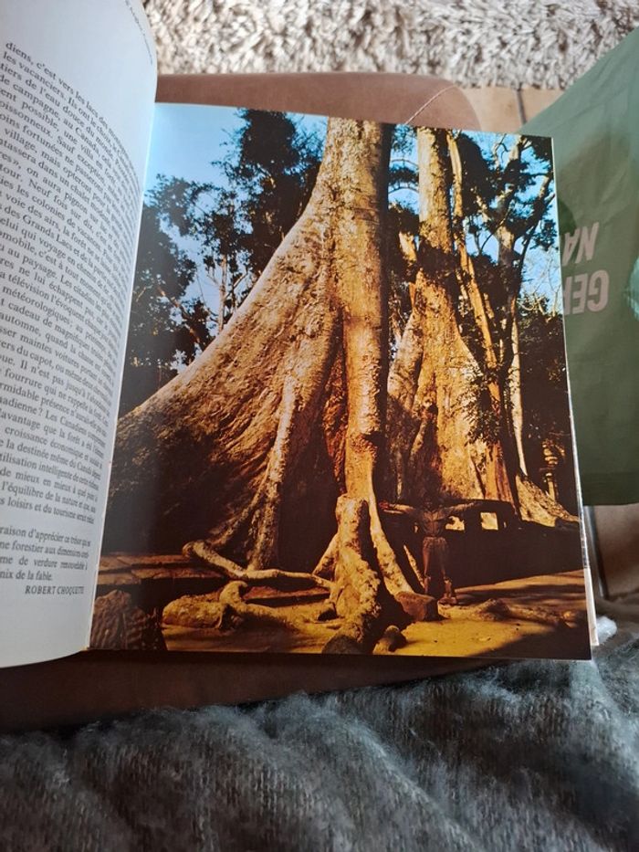 Le grand livre de la forêt. - photo numéro 13