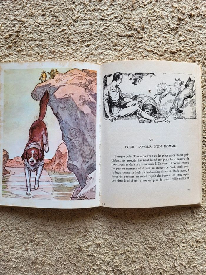 Livre de collection L'appel de la forêt de Jack London - photo numéro 8