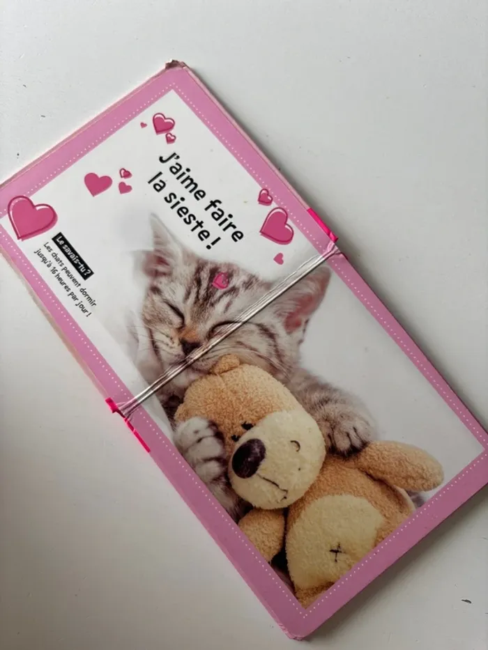 Livre, chats mignons - photo numéro 8