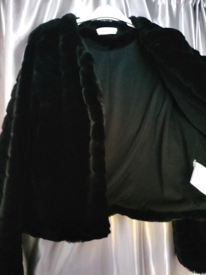 Veste fourrure femme taille 40 - photo numéro 2