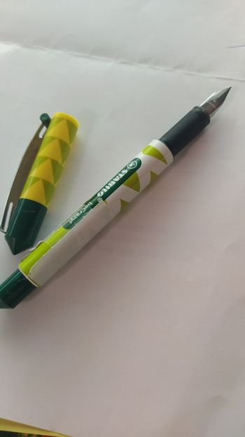 Stylo plume