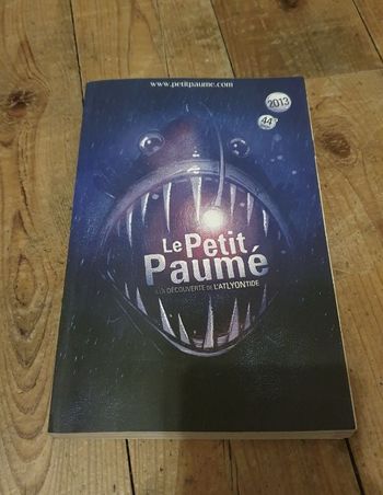 Le petit paumé - guide Lyon