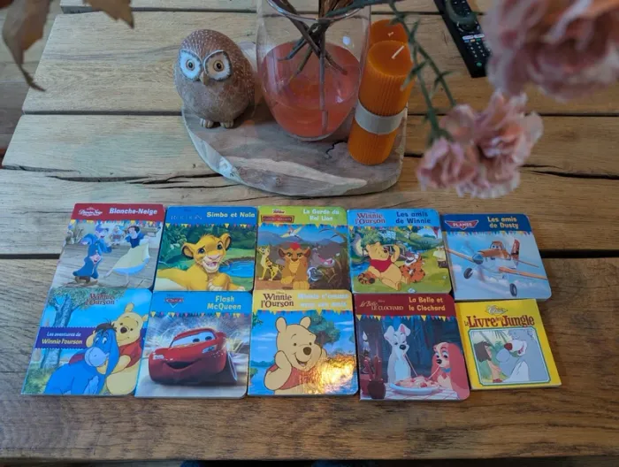 Lot de livres Disney