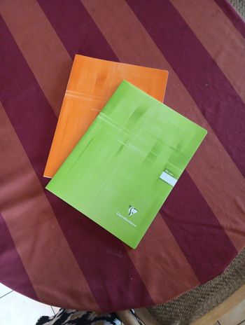 Lot 2 cahiers 24x32 grands carreaux 96 pages Claire fontaine
