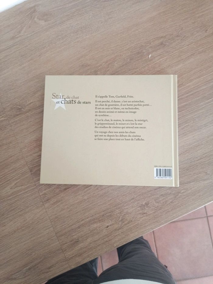 Star de chat et chats de stars - photo numéro 2