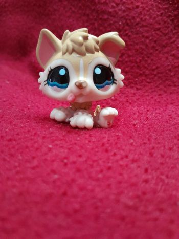 Figurine Petshop A15