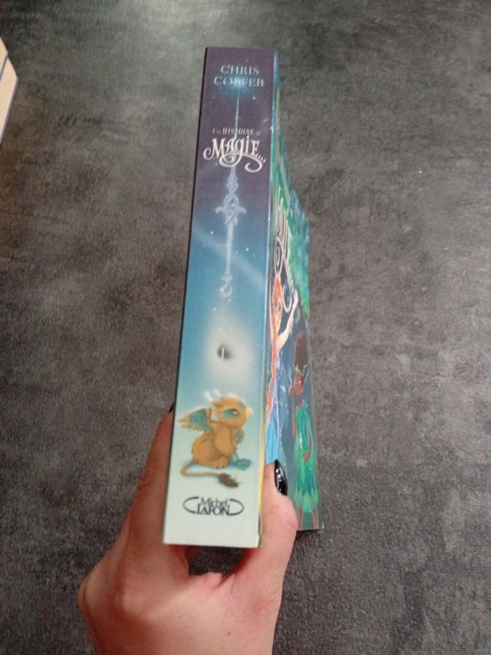 Livre une histoire de magie - photo numéro 4