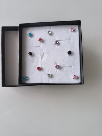 6 paires de boucles d'oreilles (puces)