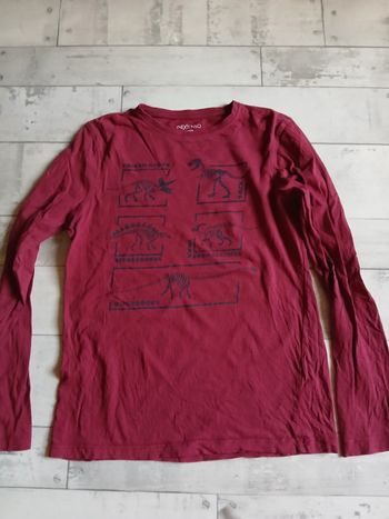 Tee-shirt 12 ans dinosaures