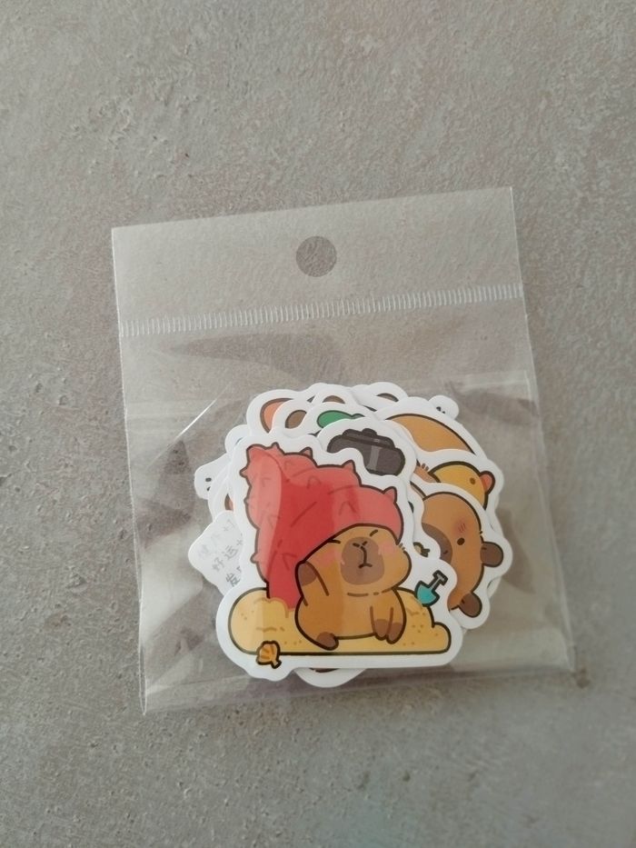 Lot x20 stickers autocollants Capybara - photo numéro 2
