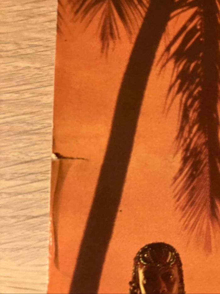 Vinyle 33 tours +grand poster-Boney M-Boonoonoonoos - photo numéro 8