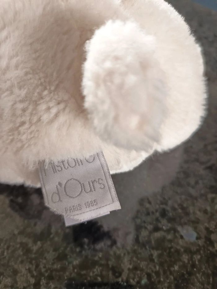 Ours blanc - photo numéro 4